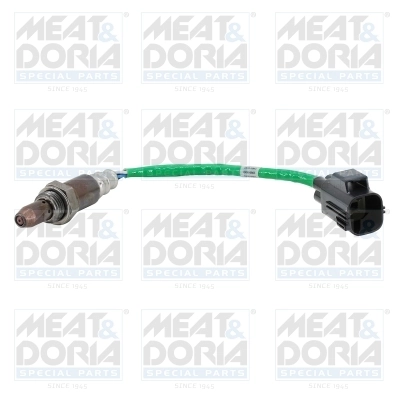 Oxygen Sensor